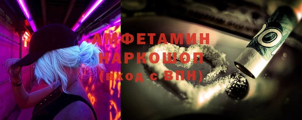 шишки Галич