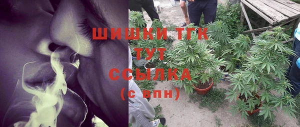 гидра Медвежьегорск