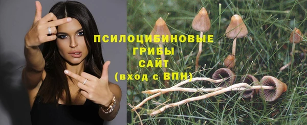 соль курить ск Мегион