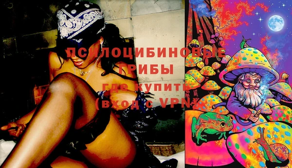 не бодяженный Медногорск