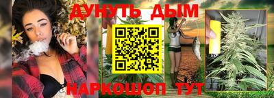 шишки Дубна
