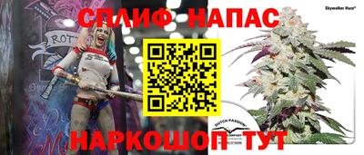 шишки Дубна