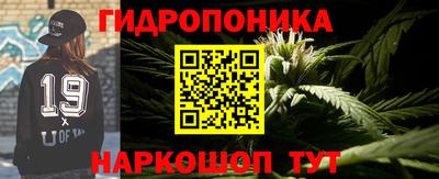 шишки Дубна