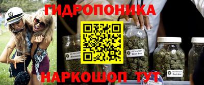 шишки Дубна