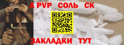 шишки Дубна