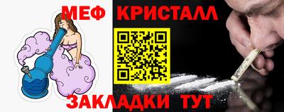 шишки Дубна