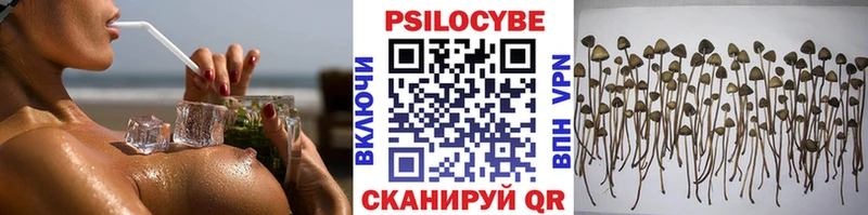 Псилоцибиновые грибы Psilocybine cubensis  Дятьково 