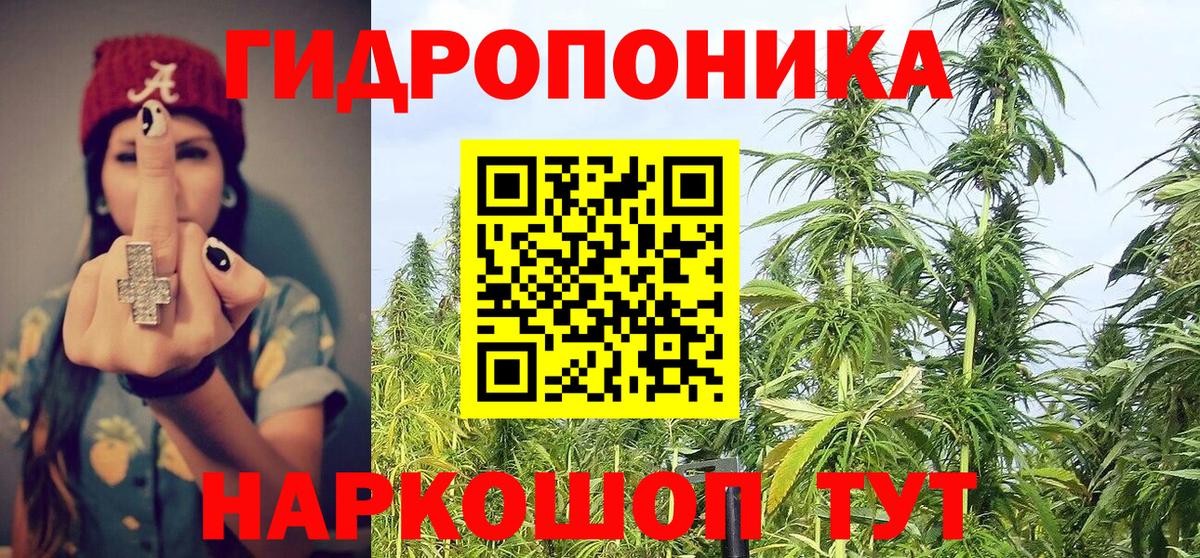 Бошки марихуана план Дятьково